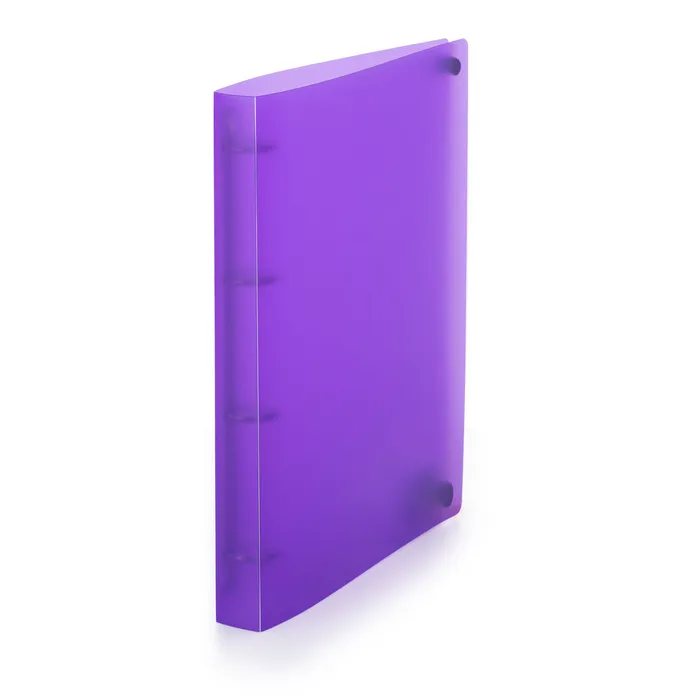 Hauptbild des Produkts Pořadač PP A4 D20 4kr. Opaline fialová