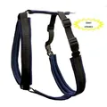 Weiteres Produktbild Geschirr Becky M: Halsumfang 50 cm