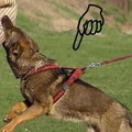 Weiteres Produktbild Becky XS-Geschirr: Halsumfang 40 cm