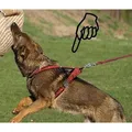Weiteres Produktbild Becky XS-Geschirr: Halsumfang 40 cm