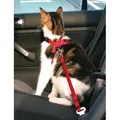 Weiteres Produktbild Autogeschirr für eine Katze 20–50 cm