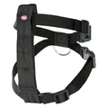 XS Hunde-Autogeschirr: 20–50 cm/15 mm, z. B. Yorkshire Terrier