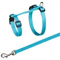 Nylongeschirr. für Katze mit XL-Leine, 34-57 cm/13 mm, 1,20 m