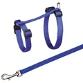Nylongeschirr. für Katze mit XL-Leine, 34-57 cm/13 mm, 1,20 m