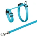 Nylongeschirr. für Katze mit XL-Leine, 34-57 cm/13 mm, 1,20 m