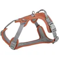 Postroj PREMIUM ACTIVE, rezavá L-XL: 74-100 cm/ 25 mm