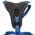 Geschirr Y PREMIUM – Königsblau – SALE XS: Brustumfang: 33–42 cm/10 mm