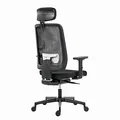 Powerton Ergonomischer Bürostuhl Lucie, Schwarz