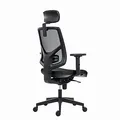 Powerton Ergonomischer Bürostuhl Tina, Schwarz