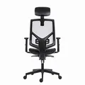 Powerton Ergonomischer Bürostuhl Tina, Schwarz
