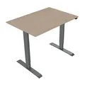 Arbeitstisch, 75x120cm, Reichweite 500 mm, grau, 70 kg Gewicht, ergo