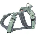 Premium trekingový postroj, šalvěj/grafitS: 36-44 cm/15 mm