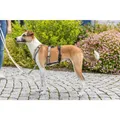 Weiteres Produktbild Protipanický adaptér STAY na postroj, černáM-L: 46-72 cm/ 20 mm