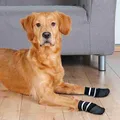 Weiteres Produktbild Rutschfeste Socken schwarz, 2 Stück für Hunde Baumwolle/Lycra M-L: z.B. Australian Shepherd