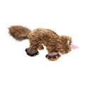 Ptakopysk, 35 cm, plyšová hračka pro psy, HIPHOP DOG