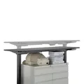 Reichweite 500 mm, schwarz, 100 kg Gewicht, Powerton
