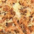 Weiteres Produktbild Torfmoos, tropisches Terrariensubstrat 100 g