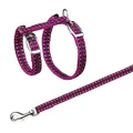 Weiteres Produktbild Reflektierendes Geschirr mit Katzenleine, 22–42 cm/10 mm, 1,2 m