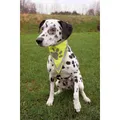 Weiteres Produktbild Reflektierender Schal für Hunde TRIXIE L-XL, Halsumfang: 43-60 cm