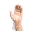 Handschuh (HDPE) Einweg transparent `L` geblockt [100 St.]