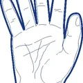 Weiteres Produktbild Handschuh (HDPE) Einweg transparent `L` im Spenderkarton [500 St.]