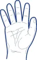 Handschuh (HDPE) Einweg transparent `L` im Spenderkarton [500 St.]