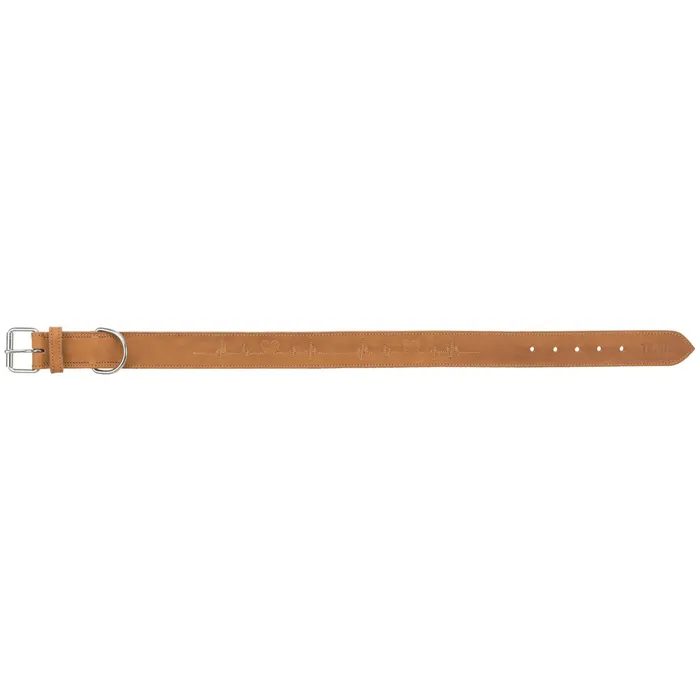 Hauptbild des Produkts Rustic kožený obojek Heartbeat - hnědá M:38-47cm/40mm