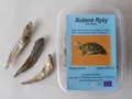 FISCH, getrocknet in einer 200-ml-Box