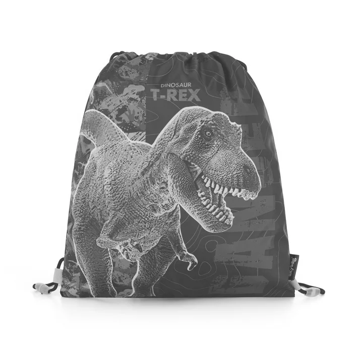 Hauptbild des Produkts Sáček na cvičky Premium Dinosaurus