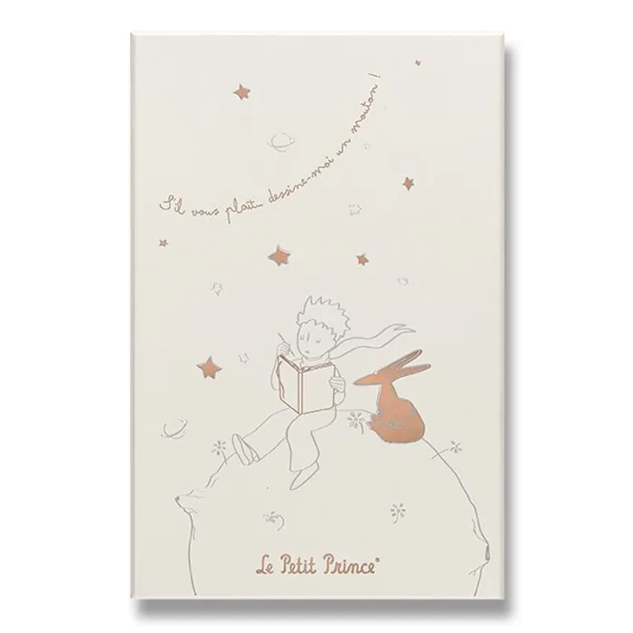 Hauptbild des Produkts Sada Moleskine Le Petit Prince L, zápisník a diář, sběratelská edice