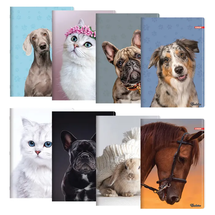 Hauptbild des Produkts Sešit A4, linkovaný 444, 40 listový, Exclusive "Cute Animals"