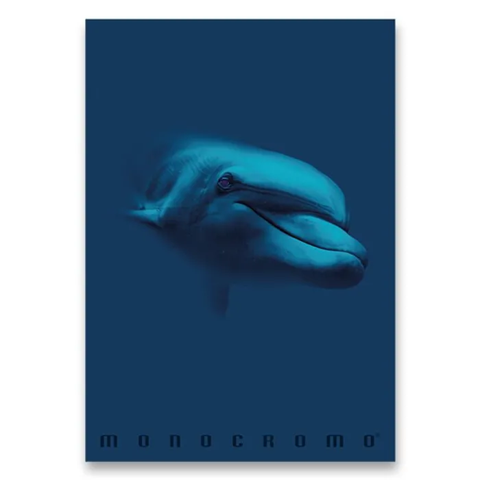 Hauptbild des Produkts Školní sešit Monocromo Blue A4, linkovaný, 40 listů, mix motivů