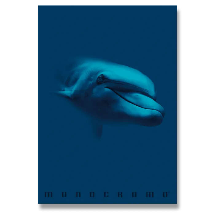 Hauptbild des Produkts Školní sešit Monocromo Blue A5, linkovaný, 42 listů, mix motivů