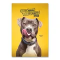 Weiteres Produktbild Schulheft Pets 2025 - A4, liniert, 40 Blätter, Mix-Motiv