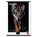 Weiteres Produktbild Pigna Animal Schulheft A4, liniert, 40 Blätter, Mix-Motiv