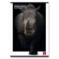 Weiteres Produktbild Pigna Animal Schulheft A4, liniert, 40 Blätter, Mix-Motiv