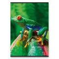 Schulheft Pigna Animal A5, liniert, 40 Blatt, Mix-Motiv