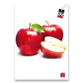 Schulheft Pigna Fruits A4, liniert, 40 Blatt, Motivmix