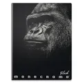 Schulheft Pigna Monocromo Black A4, liniert, 40 Blatt, Motivmix