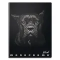 Schulheft Pigna Monocromo Black A4, liniert, 40 Blatt, Motivmix