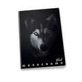 Weiteres Produktbild Schulheft Pigna Monocromo Black A5, liniert, Motivmix