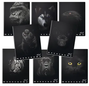 Schulheft Pigna Monocromo Black A5, liniert, Motivmix