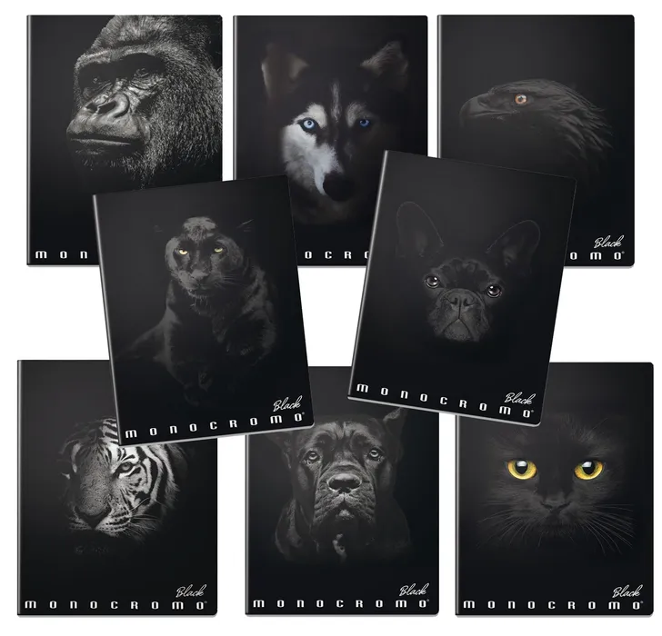 Hauptbild des Produkts Školní sešit Pigna Monocromo Black A4, linkovaný, 40 listů, mix motivů