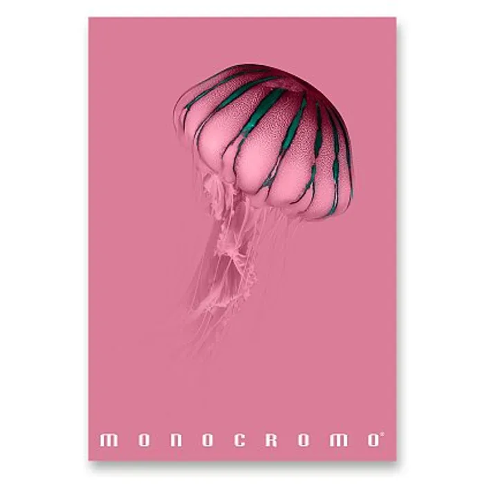 Hauptbild des Produkts Školní sešit Pigna Monocromo Pink - A4, linkovaný, 38 listů, mix motivů