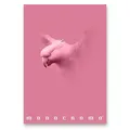 Weiteres Produktbild Pigna Monocromo Pink Schulheft - A4, liniert, 38 Blatt, Motivmix