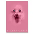 Weiteres Produktbild Pigna Monocromo Pink Schulheft - A4, liniert, 38 Blatt, Motivmix