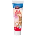 Weiteres Produktbild Malzpaste für Nagetiere Red Berry - mit Waldfrüchten, 100g
