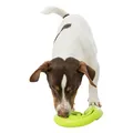 Snackschlange, Schlange für Leckereien, TPR, 18 cm, grün