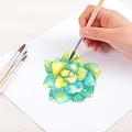 4PCS -Set von 4PCs (4,6,8,10)