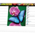 Weiteres Produktbild Tischkalender - Bunte Welt